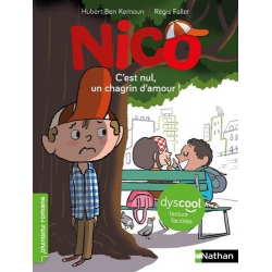 Nico : C'est nul- un chagrin d'amour ! Dyscool