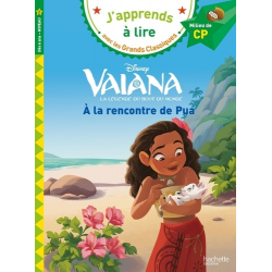 Vaiana- a la rencontre de Pua - Milieu de CP - Poche