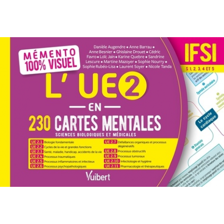 L'UE 2 en 230 cartes mentales IFSI - Grand Format