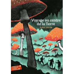 Voyage au centre de la Terre