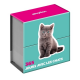 365 jours avec les chats - Poche