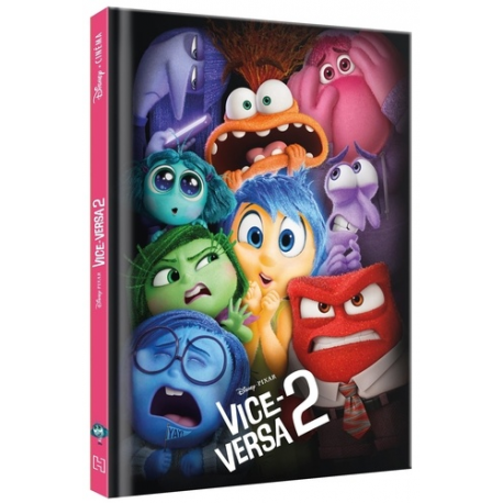 L'histoire du film - Vice-versa 2