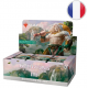 MTG Horizons du Moderne : Boîte de 36 Play Boosters FR