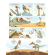 Dinodyssée - Tome 1 - Les copains d'abord