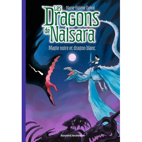 Les dragons de Nalsara - Tome 14