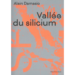 Vallée du silicium - Grand Format
