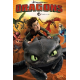 Dragons (DreamWorks) - Tome 1 - Tombé du ciel