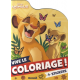 Disney Animaux - Simba et Nala - Album