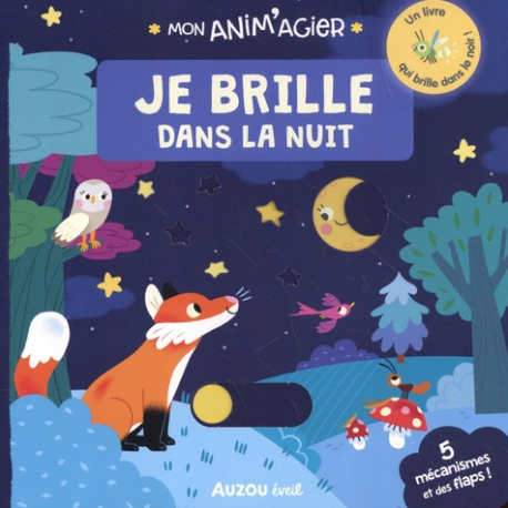 Les Anim'agiers - Je brille dans la nuit