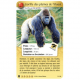 Defis Nature Protect - Pack de demarrage - Gorille