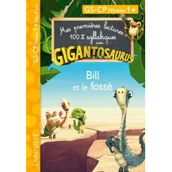 Bill et le fossé - GS-CP Niveau 1 - Poche