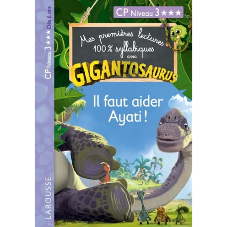 Il faut aider Ayati ! - CP Niveau 3 - Poche