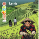 Le riz - Album