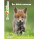 Les bébés animaux - Album