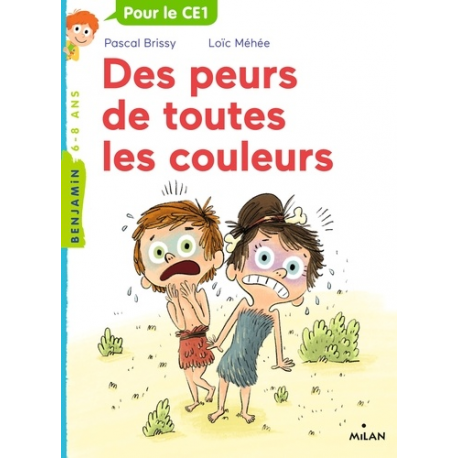 Des peurs de toutes les couleurs - Poche