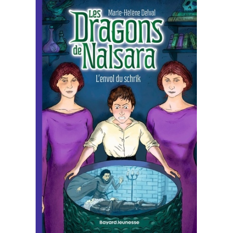 Les dragons de Nalsara - Tome 15