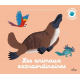 Les animaux extraordinaires - Album