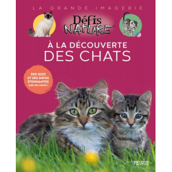 A la découverte des chats - Album