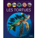 Les tortues - Album