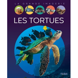 Les tortues - Album