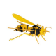 3D Paper Model - Hornet
