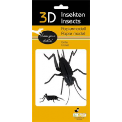3D Paper Model - Cricket