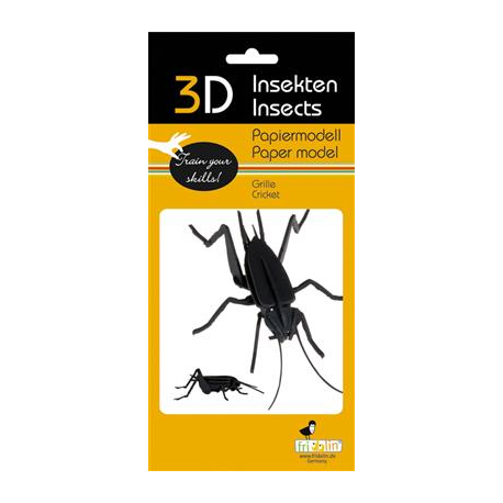 3D Paper Model - Cricket