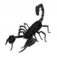 3D Paper Model - Scorpion