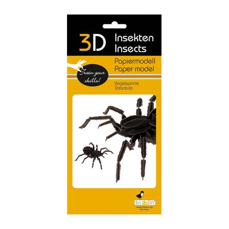 3D Paper Model - Spider
