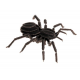 3D Paper Model - Spider