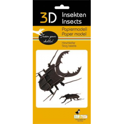3D Paper Model - Beetle