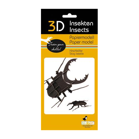 3D Paper Model - Beetle
