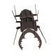 3D Paper Model - Beetle