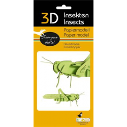 3D Paper Model - Grasshopper