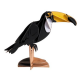 3D Paper Model - Toucan