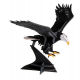 3D Paper Model - Eagle