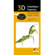 3D Paper Model - Praying Mantis