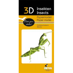 3D Paper Model - Praying Mantis
