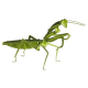3D Paper Model - Praying Mantis