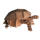3D Paper Model - Turtle