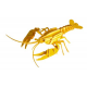 3D Paper Model - Lobster