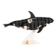 3D Paper Model - Orca