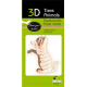 3D Paper Model - Cat black
