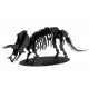 3D Paper Model - Triceratops