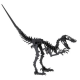 3D Paper Model - Velociraptor