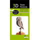 3D Paper Model - Owl