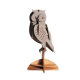 3D Paper Model - Owl