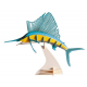 3D Paper Model - Sailfish