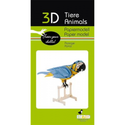 3D Paper Model - Parrot