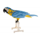 3D Paper Model - Parrot
